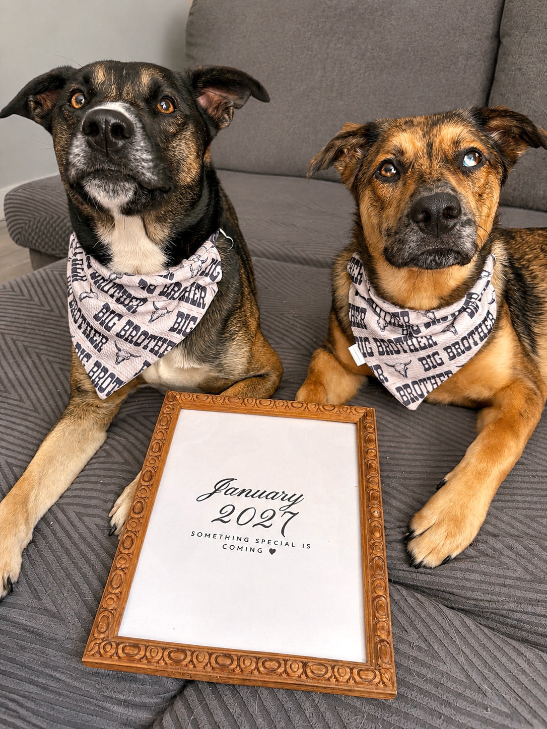 Big Sibling Collection - Big Brother + Wild Flowers Reversible Bandana