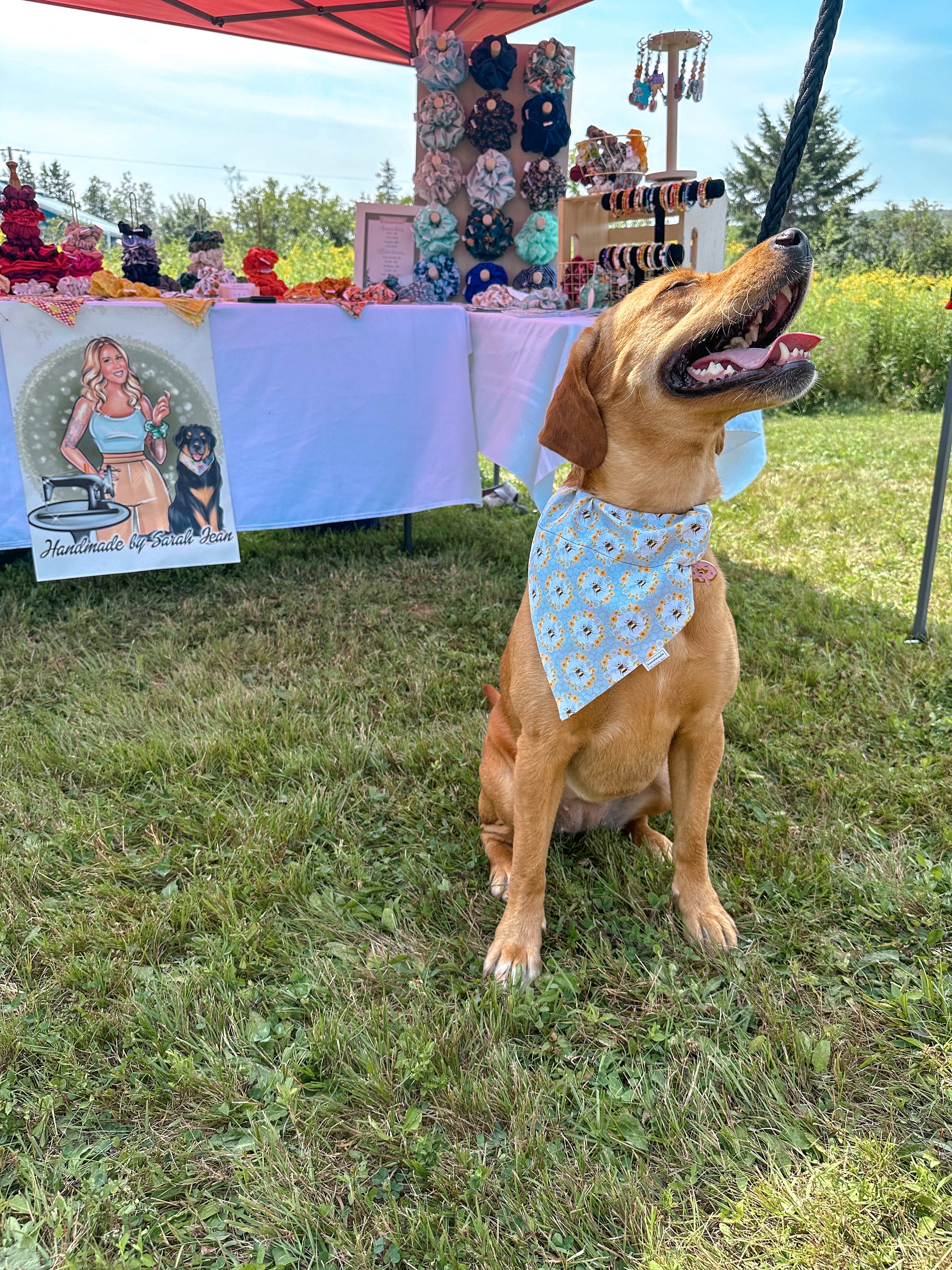 Bugs n’ Bees Collection - Honeycomb Cotton Pet Bandana