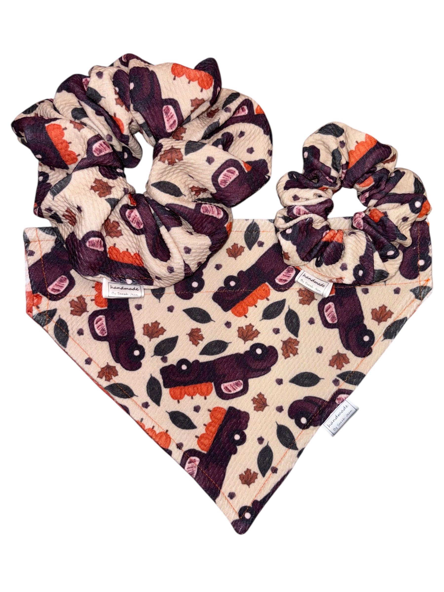 Harvest Hues Collection - Country Harvest Double Sided Bandana