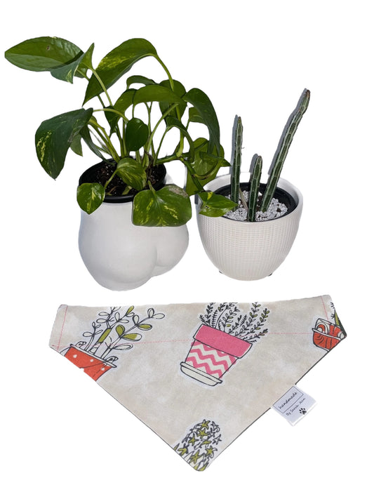 Lookin' Sharp Collection - Succulent Pet Bandanas