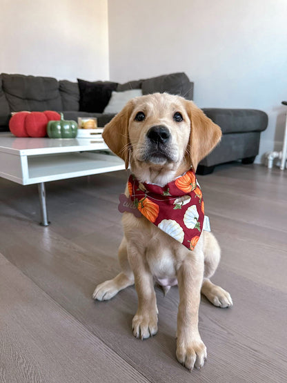 Fall Favorites Collection - Burgundy Pumpkin Patch Bandanas and Hair Scrunchies