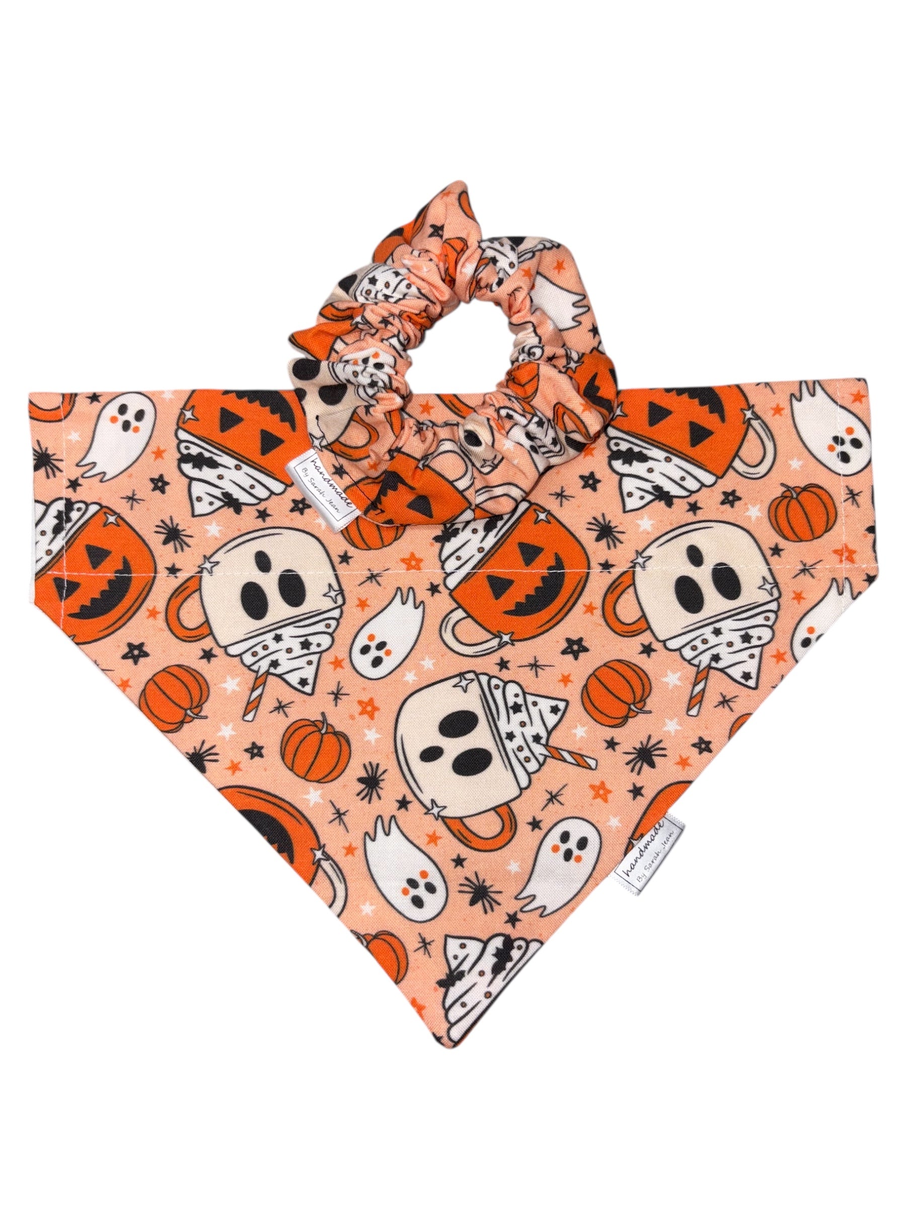Halloween Collection - CappBOOccino Pet Bandana