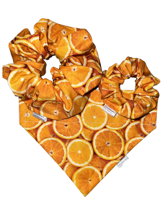 Summer Spritzer Collection - Citrus Orange Pet Bandanas and Hair Scrunchies