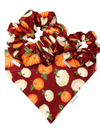 Fall Favorites Collection - Burgundy Pumpkin Patch Bandanas and Hair Scrunchies