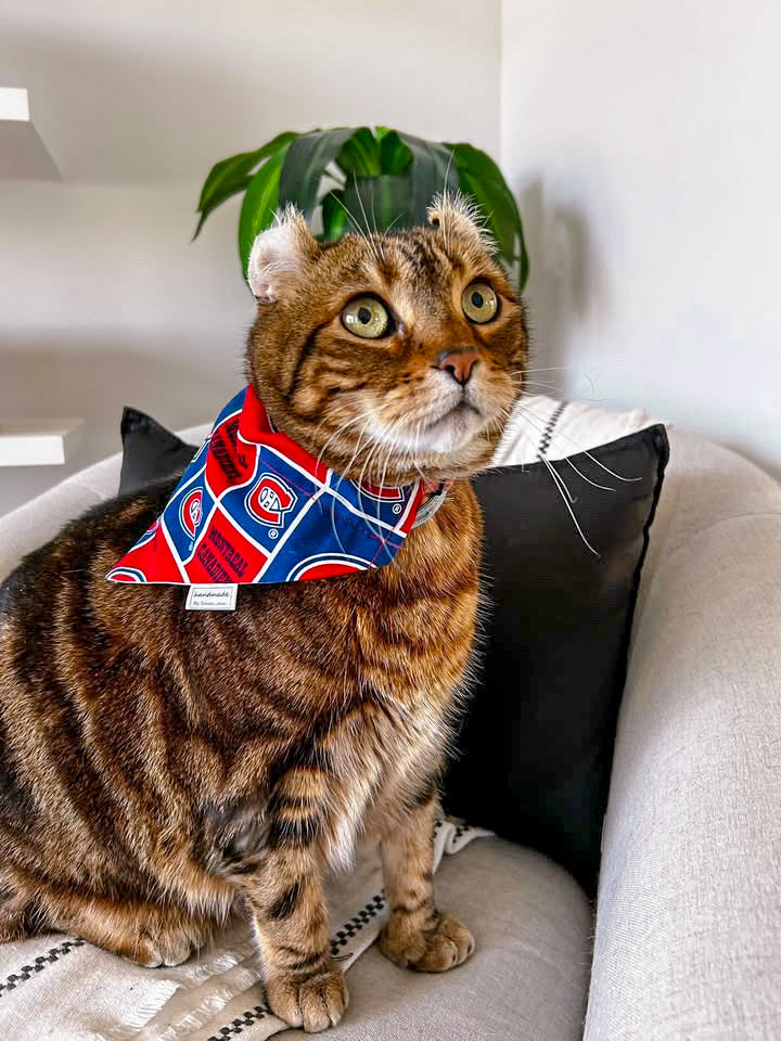 Hockey Collection - Montreal Canadiens Bandana