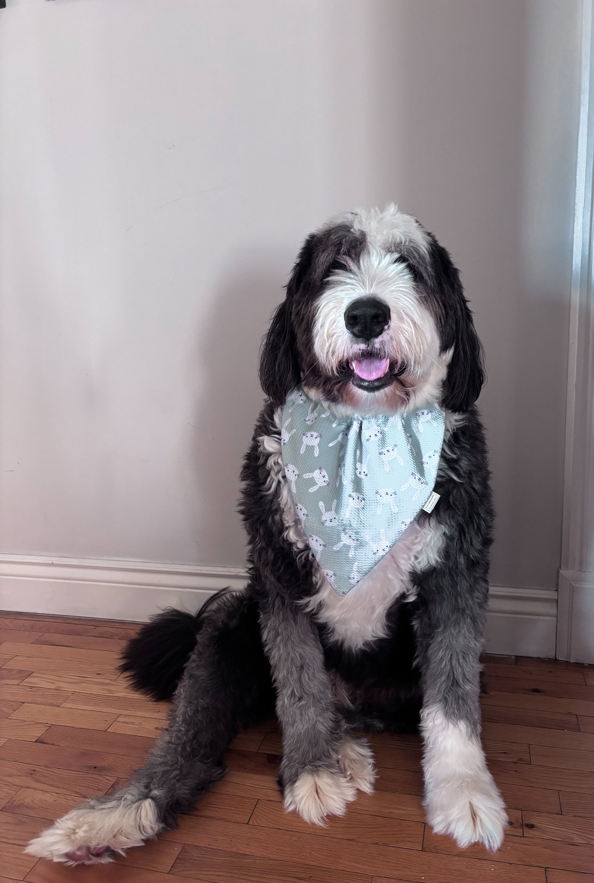 Easter Collection - Meadow Hop + Pastel Picnic Double Sided Bandana