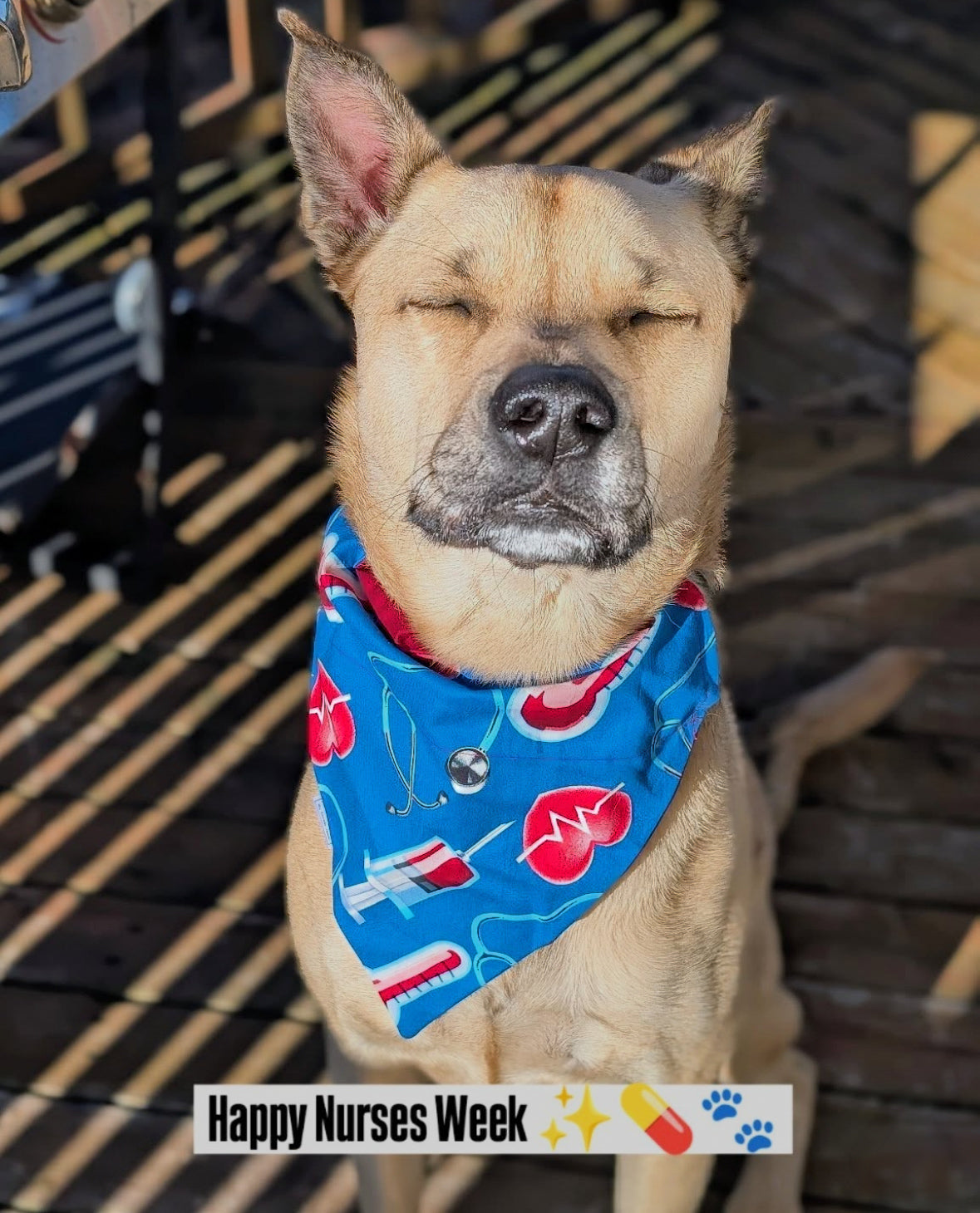 Healthcare Hero Collection - Stethoscope Pet Bandanas