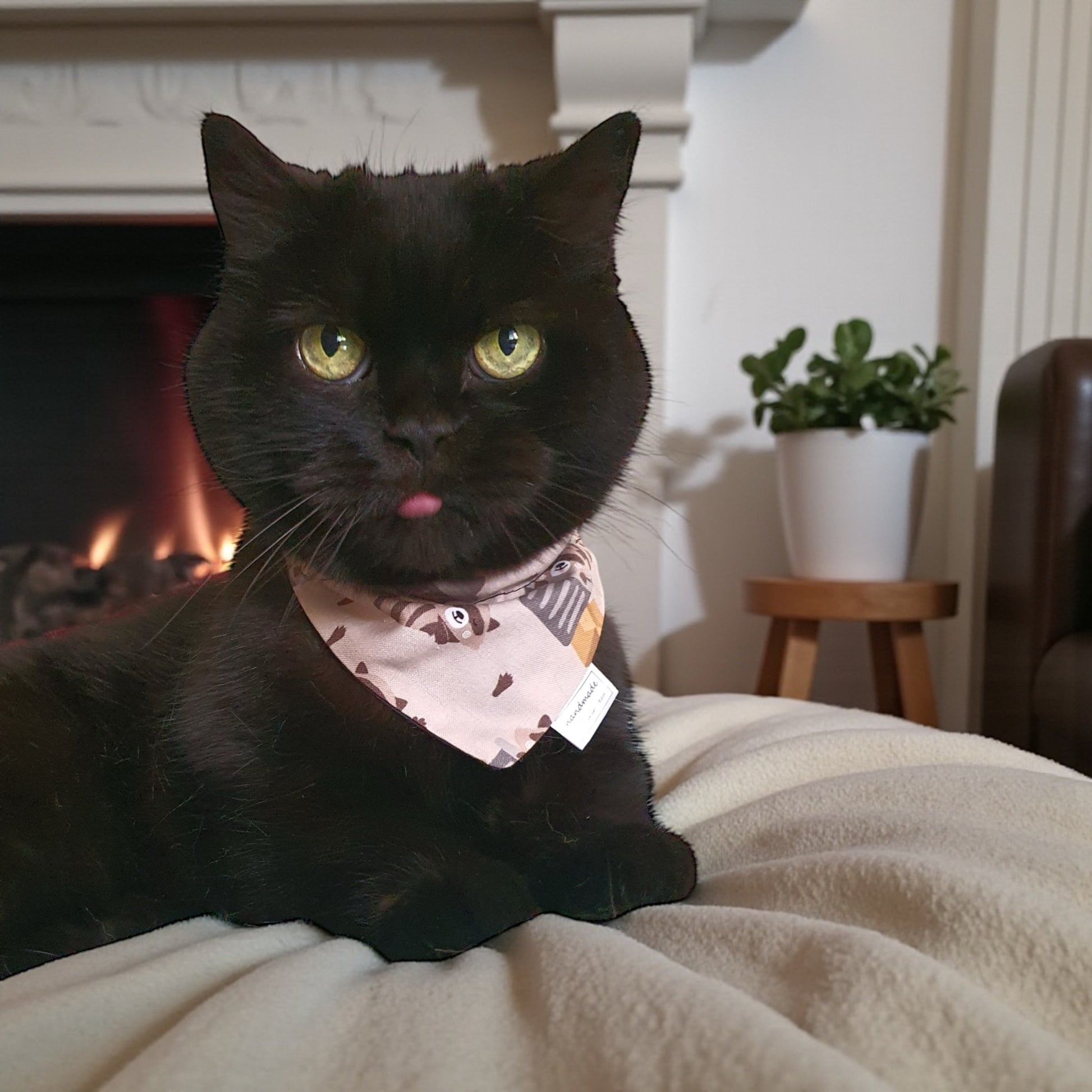 Trash Panda Chic - Bandana and Hair Scrunchie